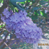 Avatar for bridzeta_13