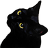 Avatar für cris_gmz
