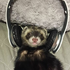 Avatar for tbeeo
