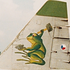 Frogfoot9013 さんのアバター
