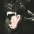 Avatar for GhostData_101