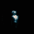 Avatar di progen1