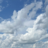Avatar for in_the_clouds-