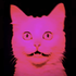 Avatar for netosouza7