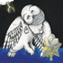 Avatar for lukejrowe
