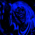 Avatar di IIMaideNII