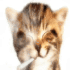 Avatar for XxRiZzErxX