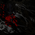 Avatar for majavamursu
