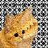 Avatar for erehsuwekim
