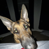 Avatar for Carter_72