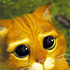 Avatar for julia1104