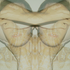 Avatar for tipeeh