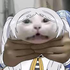 Avatar for Kha0tickitty