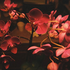 Avatar for jwlly222