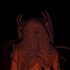 Avatar for Travisevans224