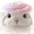 Avatar for angulicfeen
