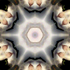 Avatar for im_hollywood