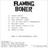 Avatar for Flaming Boner