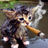 Avatar for PooReligion