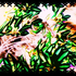 Avatar for Megu_H