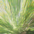 Avatar for PeteSunstone