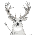 Avatar for zzzombat