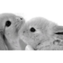 Avatar for bunbunswag