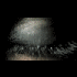 Avatar for KichaM