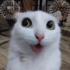 Avatar for sherbertLOL