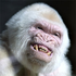 Avatar for afireinside182