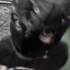 Avatar de bedwhenpee