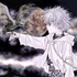 Avatar for KDOT02