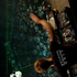 Avatar de foxtr0t