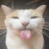 Avatar for Dangoditbu2929