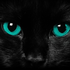 Avatar for xNiika