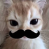Avatar for nenimari7