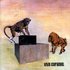 Avatar for Viva Caramel