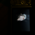 Avatar de kaczkapalaczka
