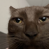 Avatar für Strawbruhrry