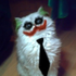 Avatar for Sup3rCell