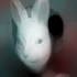 Avatar for m1lk0