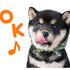Avatar for draknezzzz