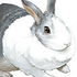 Avatar for R-e-i