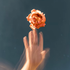 Avatar for liliwer7