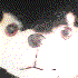Avatar für cleek