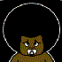 Avatar for gafarmax