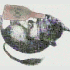 Avatar di lustydrake