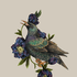 Avatar for scolette27