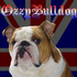 Avatar for ozzybulldog
