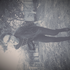 Avatar for antifre3ze